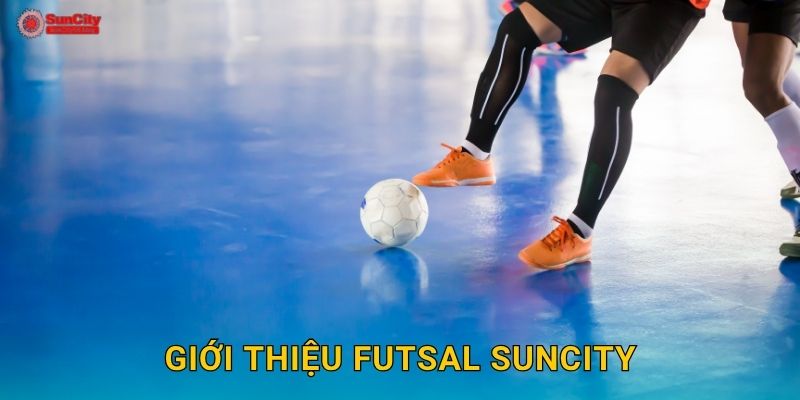 Giới thiệu Futsal suncity