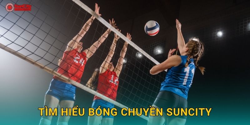 Tìm hiểu Bóng chuyền suncity