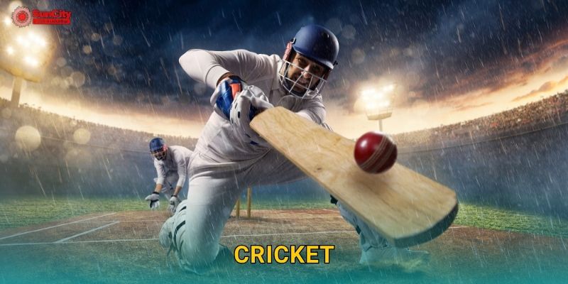 Cricket: Trò chơi chiến thuật – Thử thách mới mẻ tại suncity