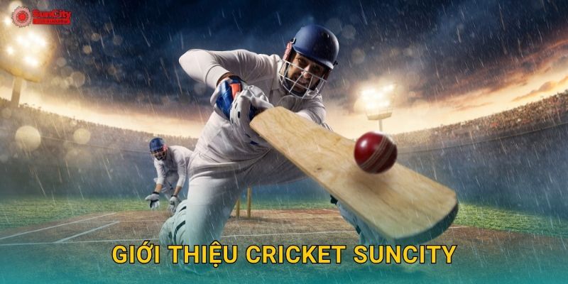 Giới thiệu Cricket suncity