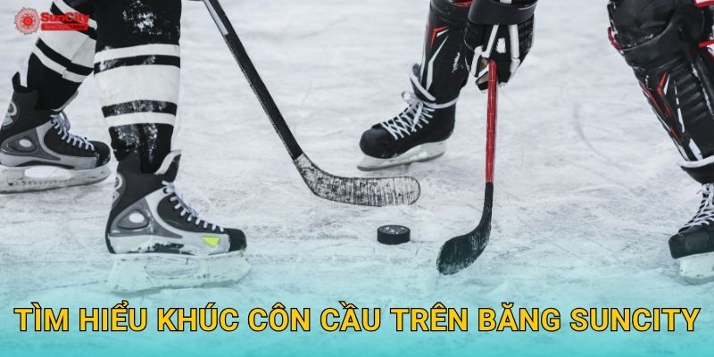 Tìm hiểu Khúc côn cầu trên băng suncity