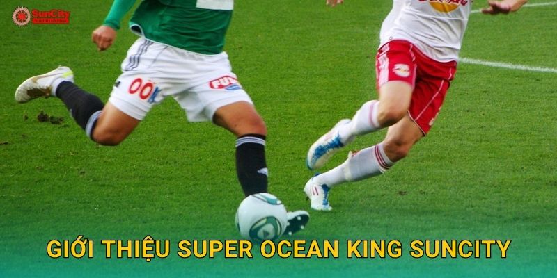 Giới thiệu Super Ocean King suncity